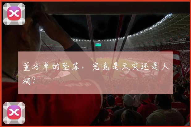 董方卓的坠落,究竟是天灾还是人祸?