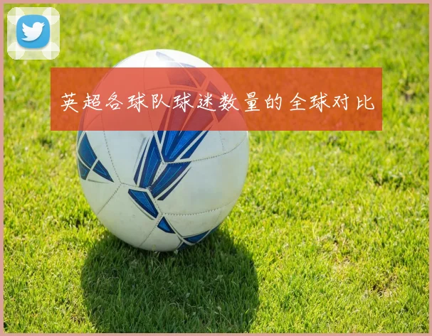 英超各球队球迷数量的全球对比