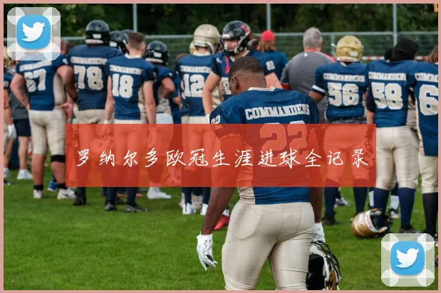 罗纳尔多欧冠生涯进球全记录