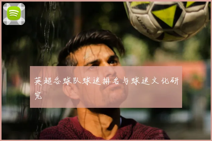 英超各球队球迷排名与球迷文化研究