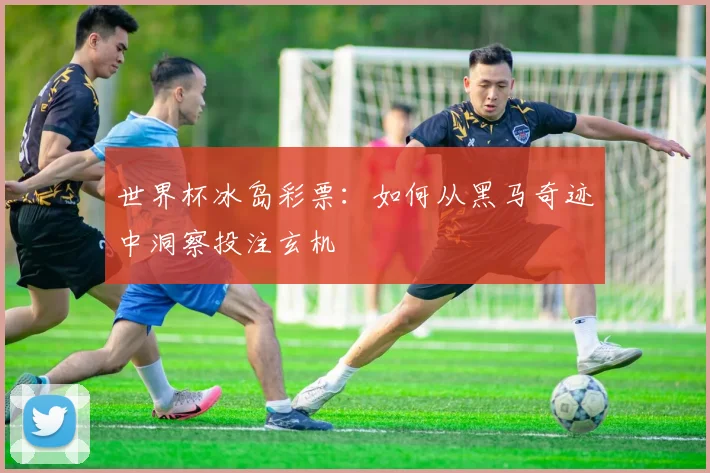 世界杯冰岛彩票：如何从黑马奇迹中洞察投注玄机