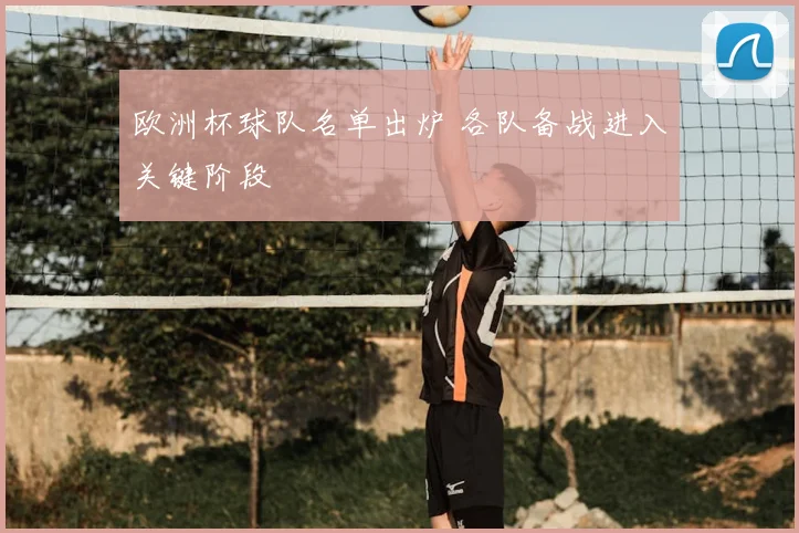 欧洲杯球队名单出炉 各队备战进入关键阶段