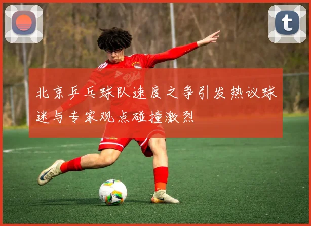 北京乒乓球队速度之争引发热议球迷与专家观点碰撞激烈