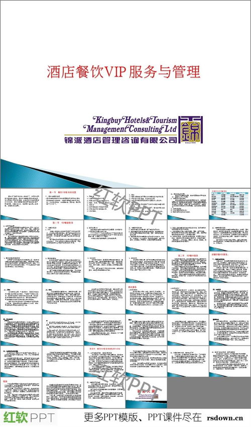 餐饮企业管理 卓越运营与战略发展